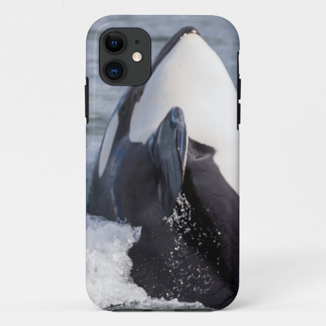 Springender Orcawal Case-Mate iPhone Hülle (Rückseite)