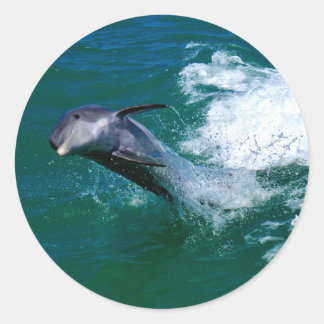 Springender und tanzender Delfin Runder Aufkleber
