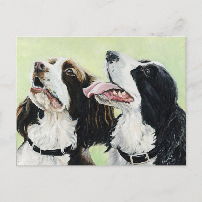 Springer Beggers Original Art Post Card Postkarte (Vorderseite)