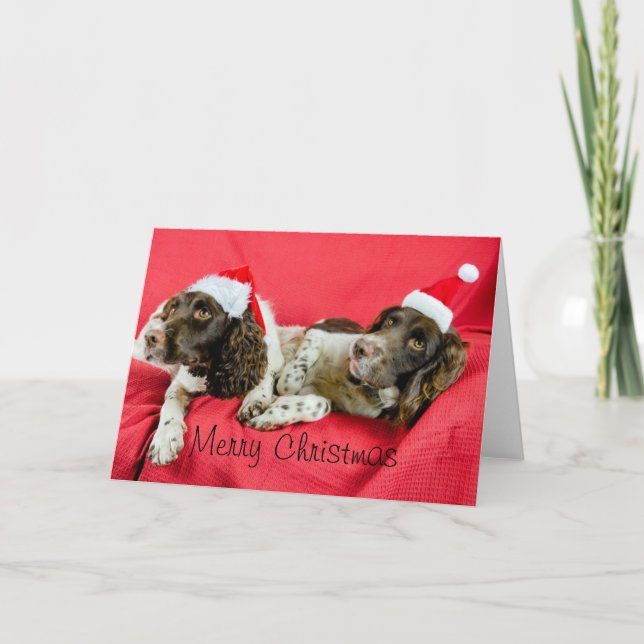 Springer Feiertagskarte (Vorderseite)