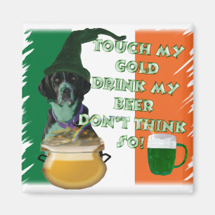 Springer Guard Leprechaun Magnet