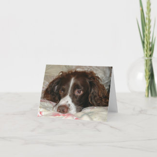 Springer-Liebe Karte