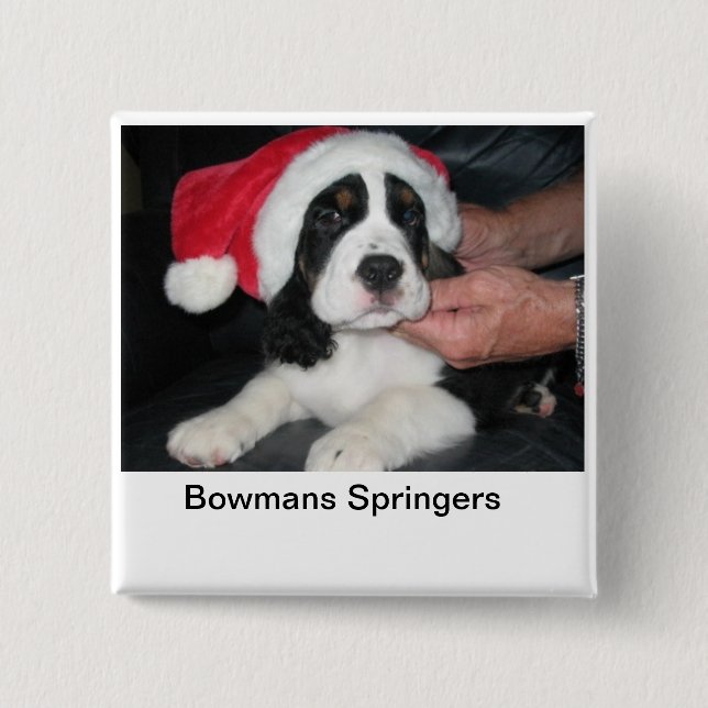 Springer-Sankt-Button Button (Vorderseite)