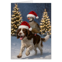 Springer Spaniel and Partridge Christmas card