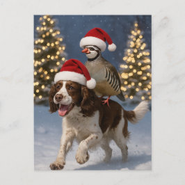 Springer Spaniel and Partridge Christmas postcard Postkarte
