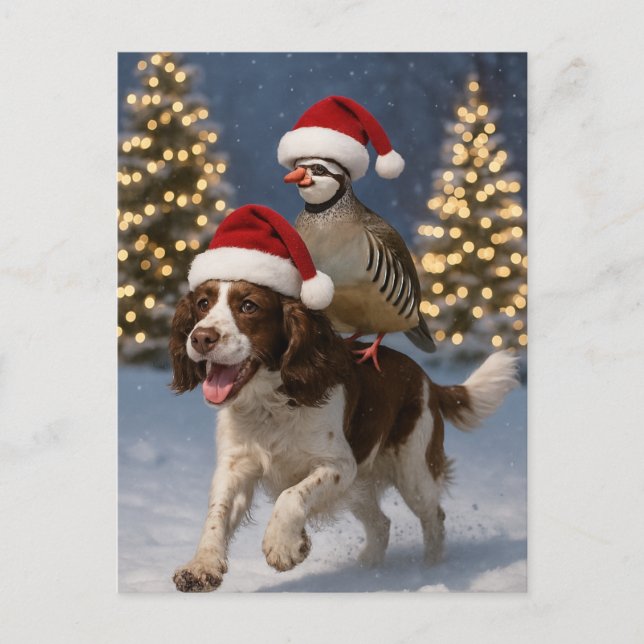 Springer Spaniel and Partridge Christmas postcard Postkarte (Vorderseite)