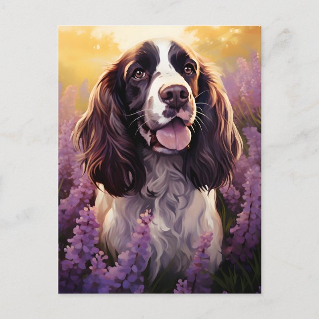 Springer Spaniel auf dem Lavenderfeld Postkarte (Vorderseite)