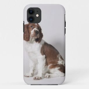 Springer Spaniel Case-Mate iPhone Hülle