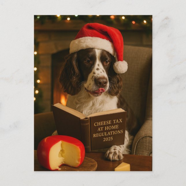 Springer Spaniel  'Cheese Tax' Christmas postcard Postkarte (Vorderseite)