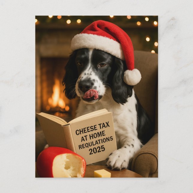 Springer spaniel  'Cheese Tax' Christmas postcard Postkarte (Vorderseite)