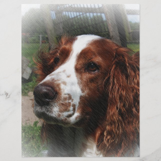 Springer Spaniel Dog Art (Vorderseite)