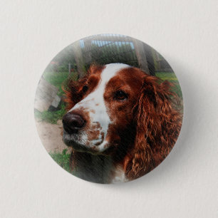 Springer Spaniel Dog Art Button
