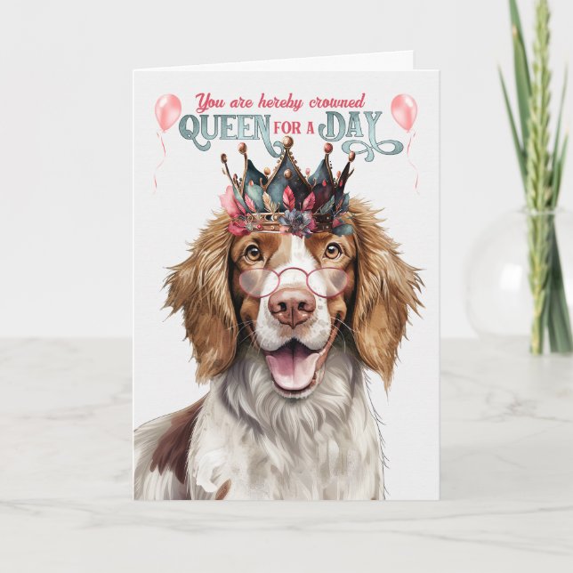 Springer Spaniel Dog Queen Day Funny Birthday Karte (Vorderseite)