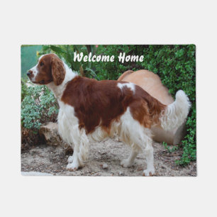 Springer-Spaniel Fußmatte