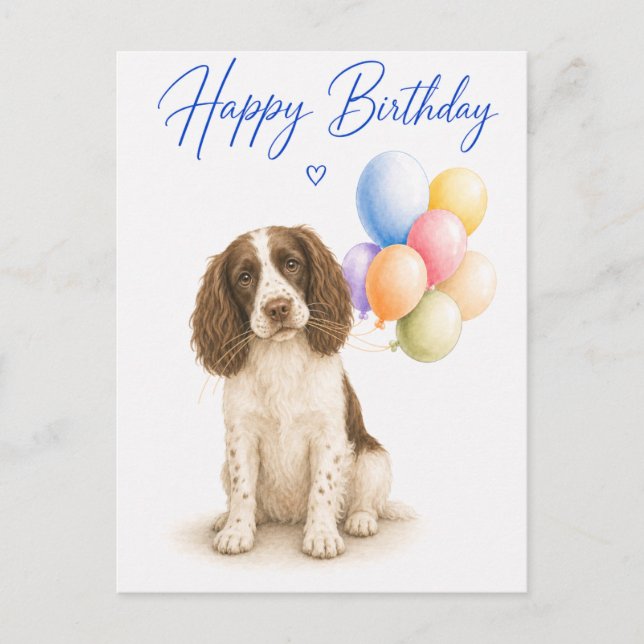 Springer Spaniel Geburtstag Postkarte (Vorderseite)