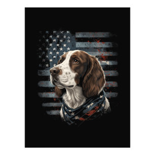 Springer Spaniel Hund Amerikanische Flagge Fotodruck