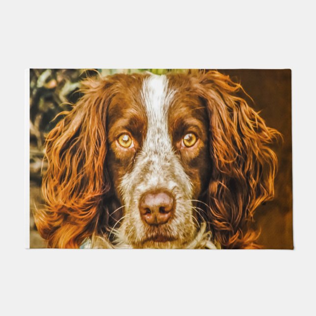 Springer Spaniel Hund. Fußmatte (Vorderseite)