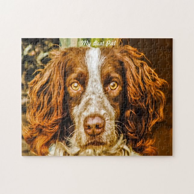 Springer Spaniel Hund Jigsaws. Puzzle (Horizontal)