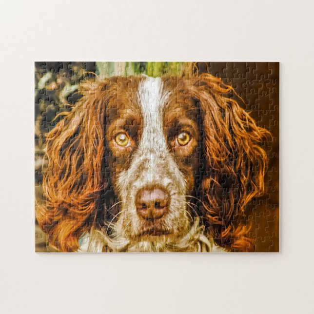 Springer Spaniel Hund Jigsaws. Puzzle (Horizontal)