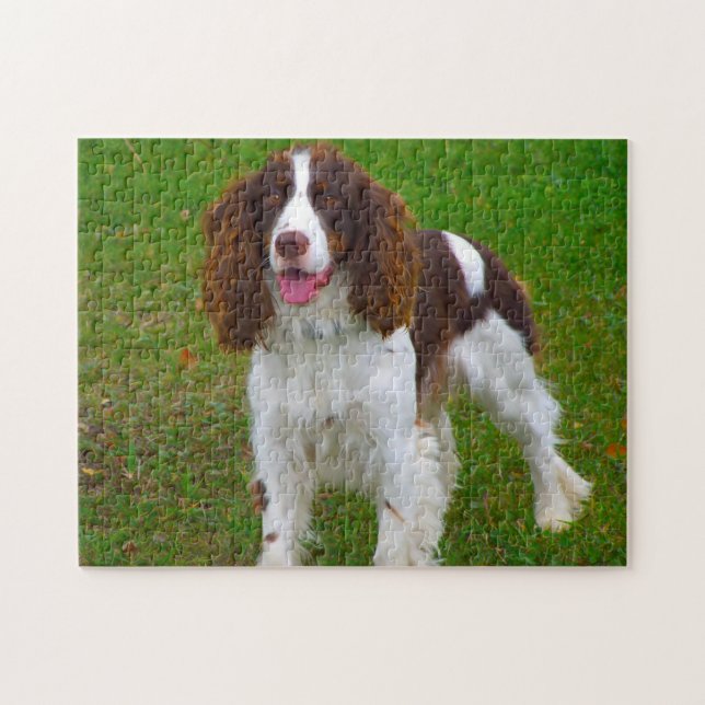 Springer Spaniel Hund Jigsaws. Puzzle (Horizontal)