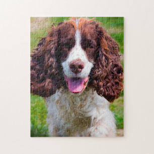 Springer Spaniel Hund Jigsaws. Puzzle