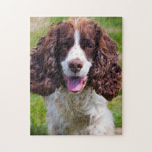 Springer Spaniel Hund Jigsaws. Puzzle (Vertikal)