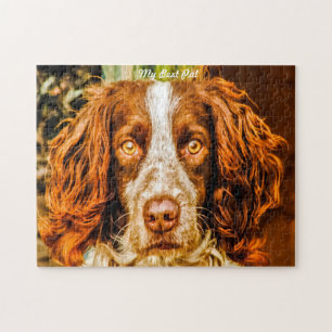 Springer Spaniel Hund Puzzles. Puzzle