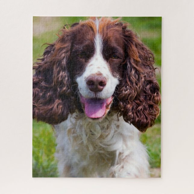 Springer Spaniel Hund Puzzles. Puzzle (Vertikal)