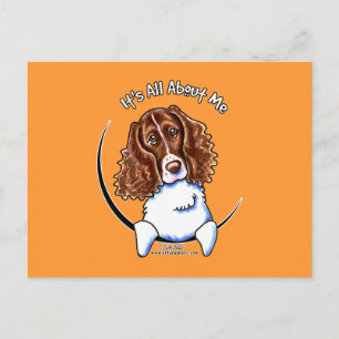 Springer Spaniel IAAM Postkarte