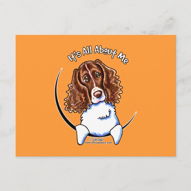 Springer Spaniel IAAM Postkarte (Vorderseite)