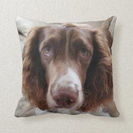 Springer Spaniel Kissen/springerface Kissen