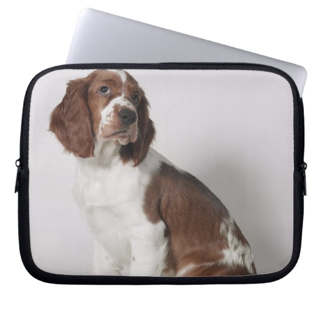 Springer Spaniel Laptopschutzhülle (Vorderseite)