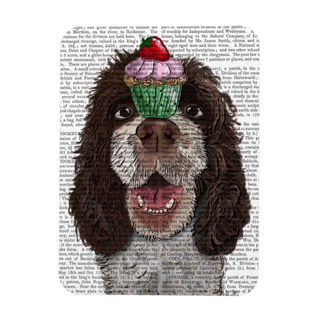 Springer Spaniel mit Cupcake Magnet (Vertikal)