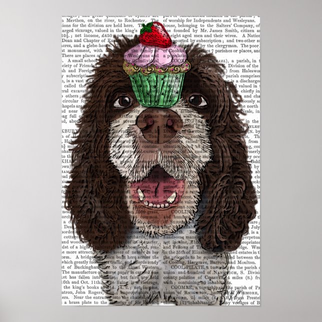 Springer Spaniel mit Cupcake Poster (Vorne)