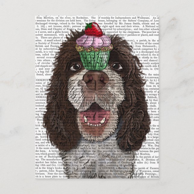 Springer Spaniel mit Cupcake Postkarte (Vorderseite)