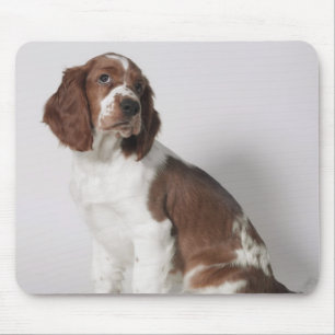 Springer Spaniel Mousepad