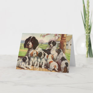 Springer-Spaniel-Mutter und Welpen Karte