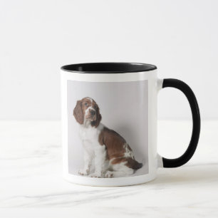 Springer Spaniel Tasse