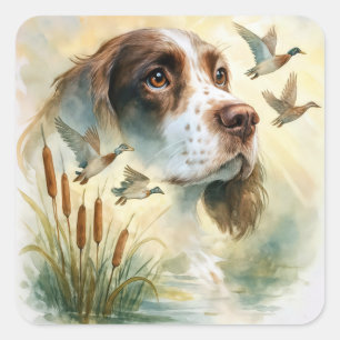 Springer Spaniel und Mallard Duck Doppelexposition Quadratischer Aufkleber