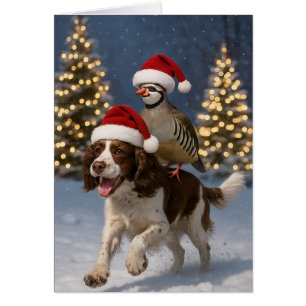 Springer Spaniel und Rebhuhn Weihnachtskarte