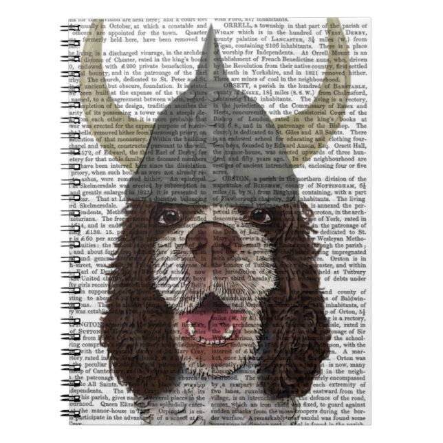 Springer Spaniel Viking Notizblock (Vorderseite)
