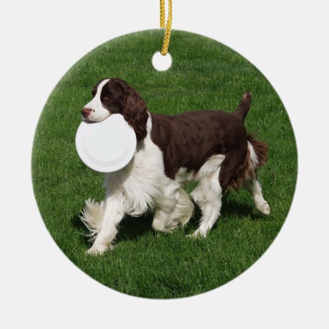 Springer Spaniel Weihnachtsdekoration Keramik Ornament (Vorne)