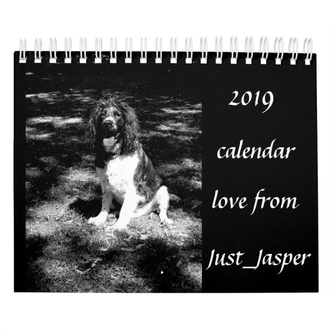 Springer Spanielkalender Kalender (Titelbild)