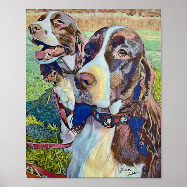 Springer Spaniels Poster (Vorne)