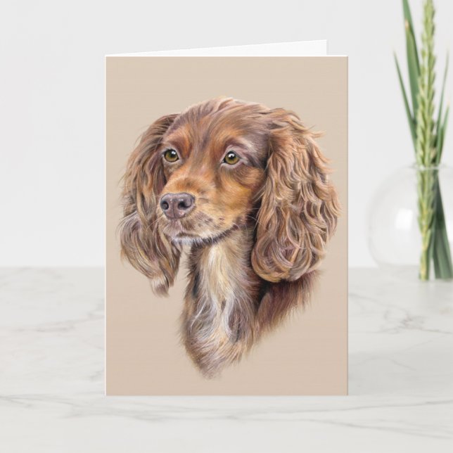 Springer Sprocker Cocker Spaniel Grußkarte Karte (Vorderseite)