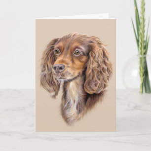 Springer Sprocker Cocker Spaniel Grußkarte Karte
