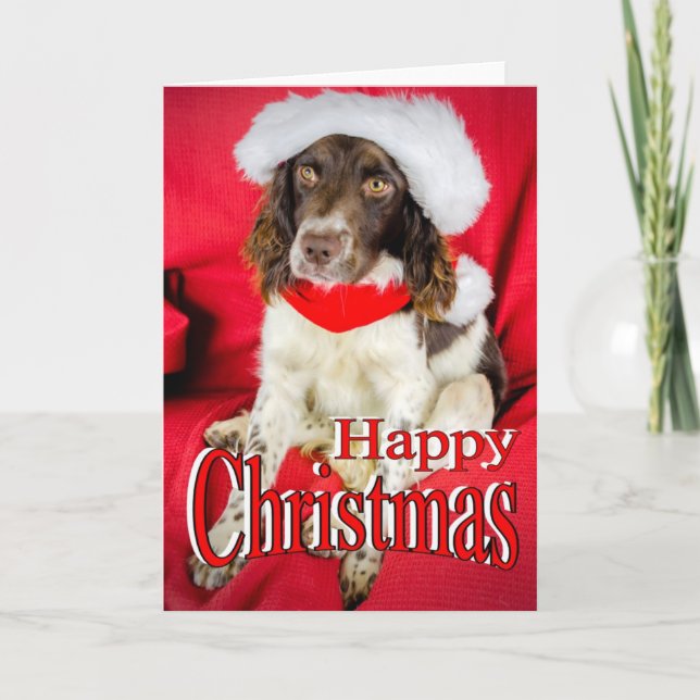 Springer-Weihnachten Feiertagskarte (Vorderseite)