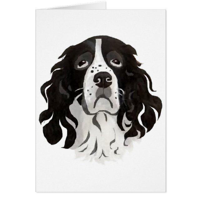 Springergesichtskarte (Vorne)