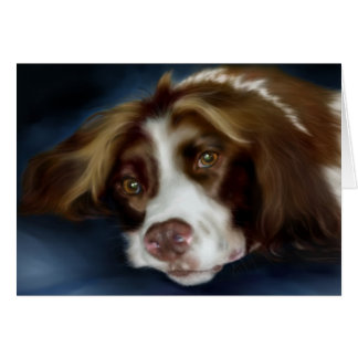 SpringerSpaniel