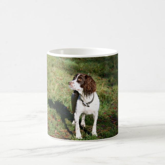Springerspaniel-HundeTasse Tasse (Mittel)